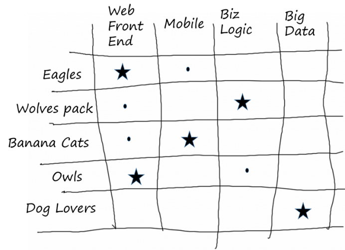Team of Teams / SAFe Agile Release Train Skills Matrix
